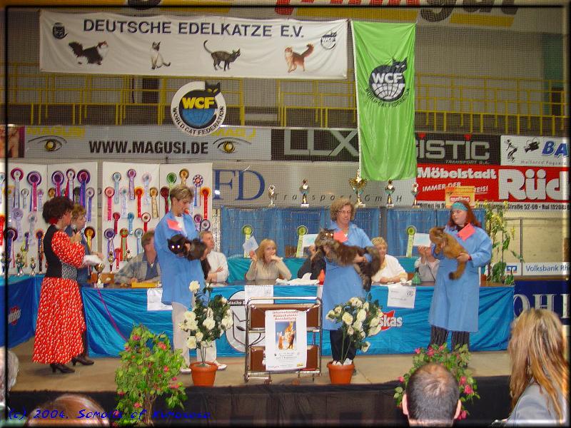 Nangis bei der Ausscheidung für "Best in Show"