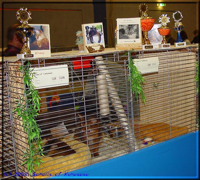 Conan is yawning about all the trophies on the cage …