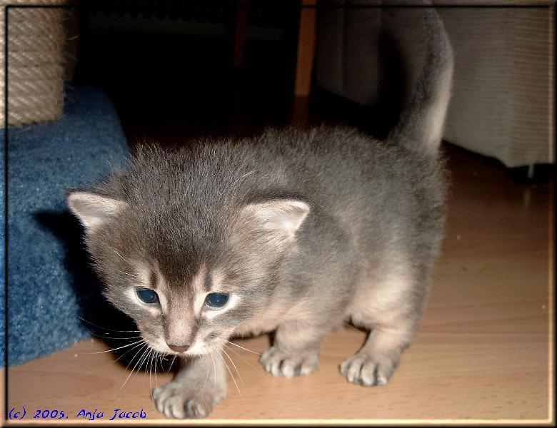 Blue is doing first steps