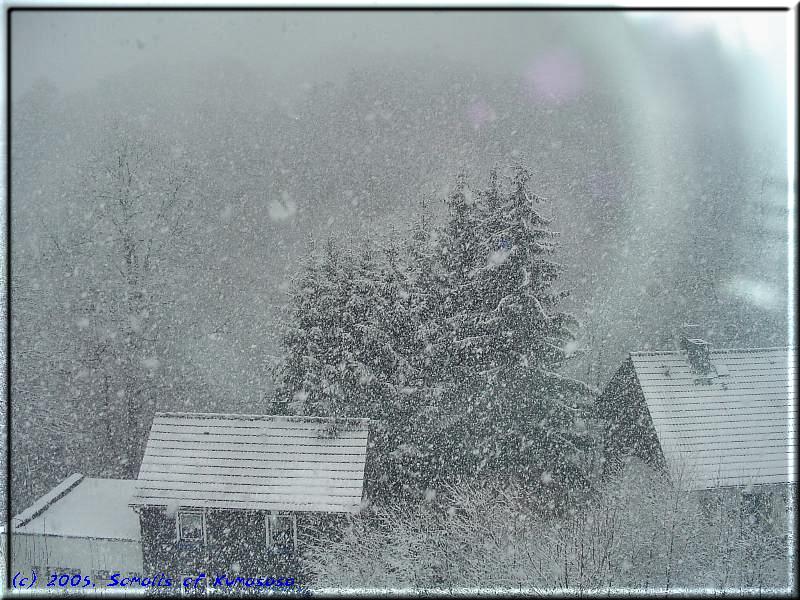 Schneegestöber