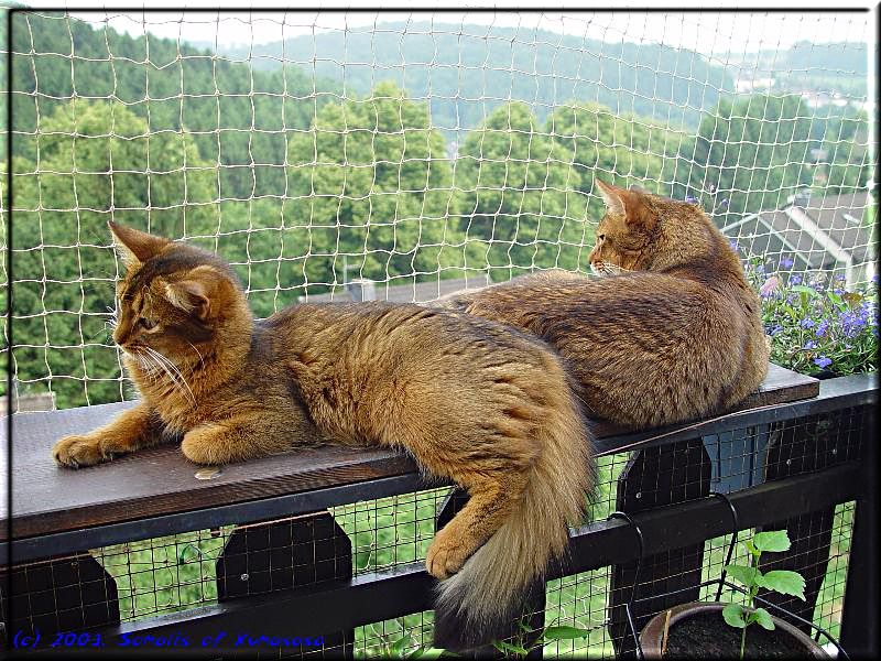 Marilyn und Nangis auf dem Balkon