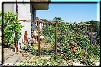 The outside enclosure of our cattery