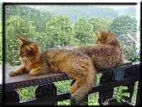 Marilyn und Nangis auf dem Balkon