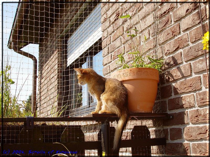 Sunbathing …