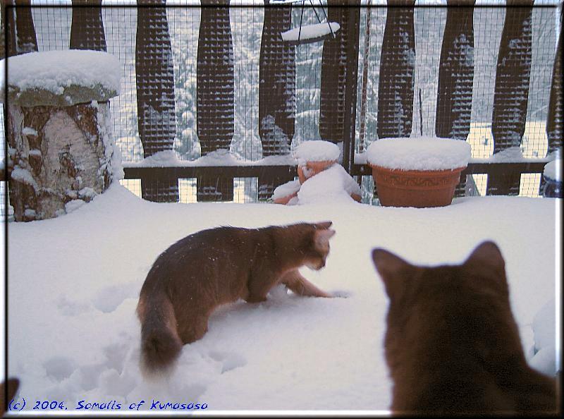 Snow height measurement