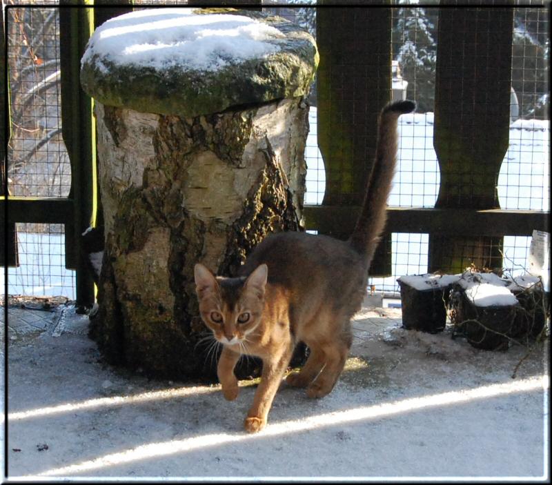 Elli in the snow