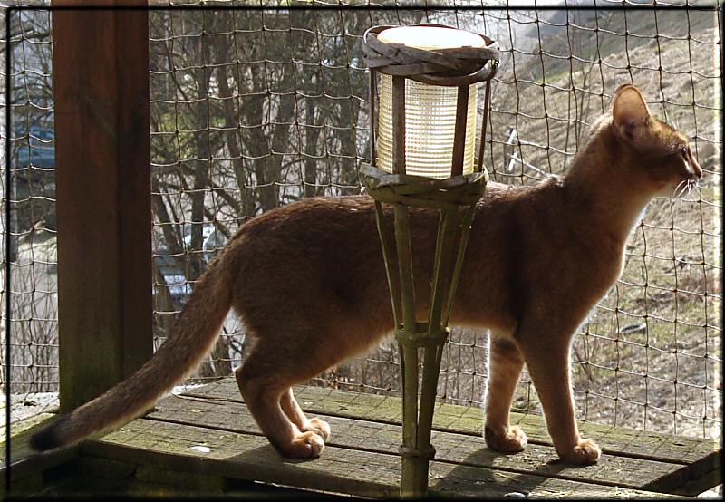 Elli auf dem Balkon