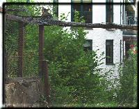 Fritz on enclosure fence