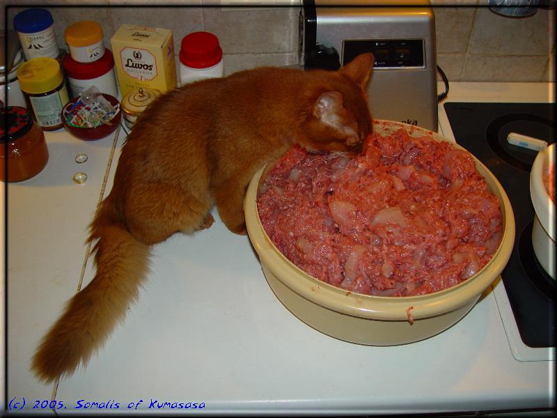 Kissy and her bowl …