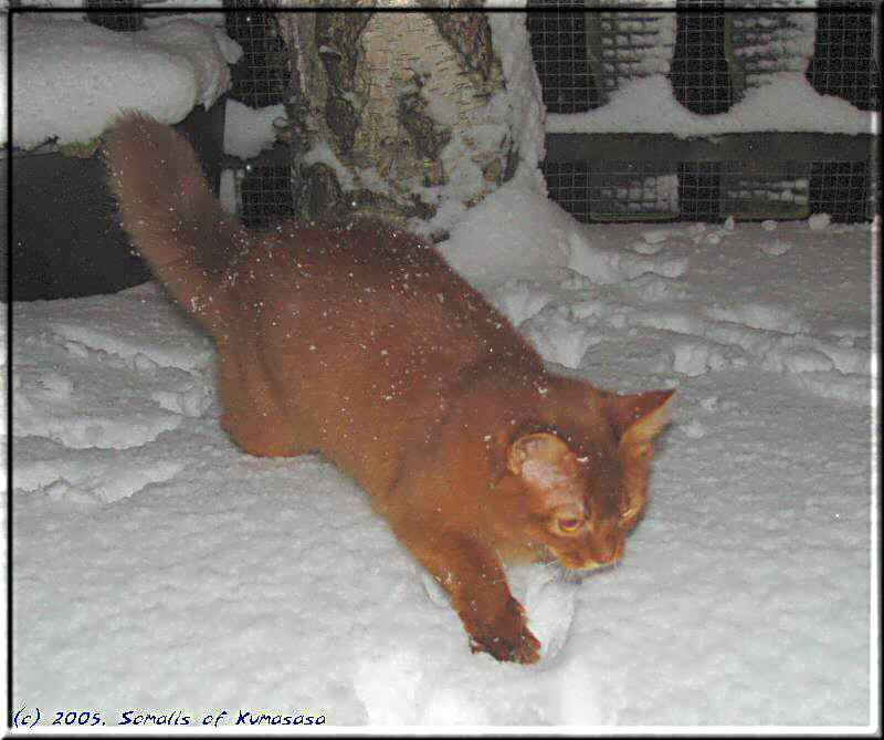 I've had it! I'll go back inside!