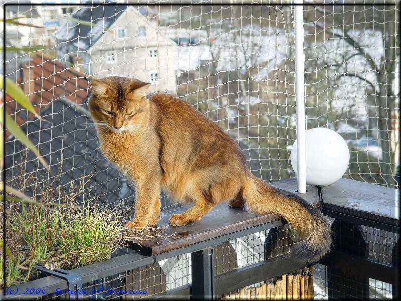 Nangis auf dem Balkon