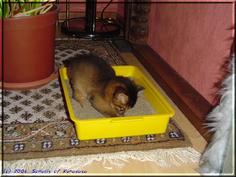 Malak digging in the sandpit