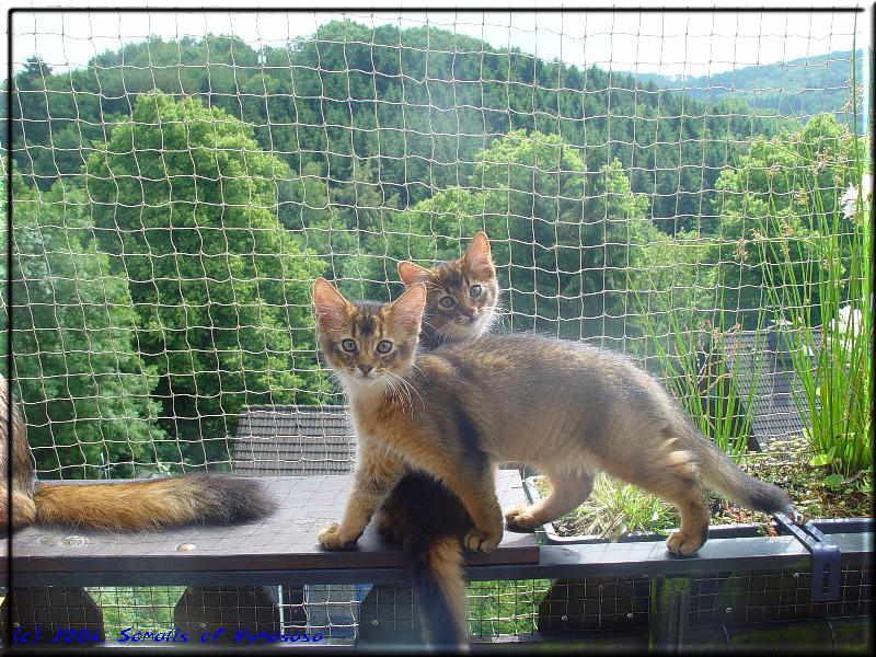 Conan and Malak