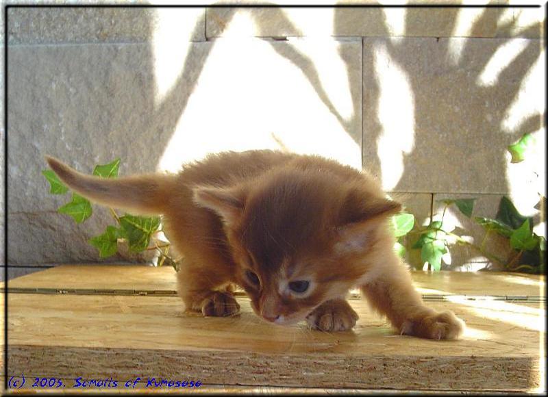 Dana in der Sonne