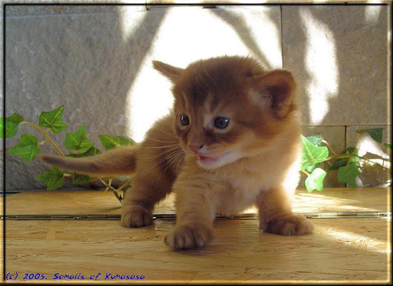 Queequeg playing in the sun