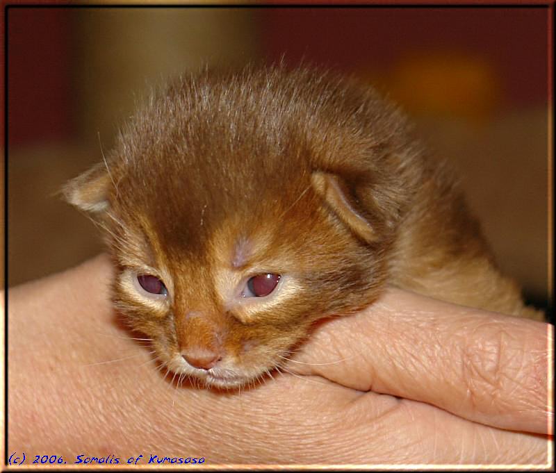 Tanami hat nun beide Augen auf