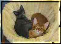 Tanami und Wilma Tanami und Wilma