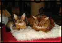 Atacama und Conan Atacama und Conan