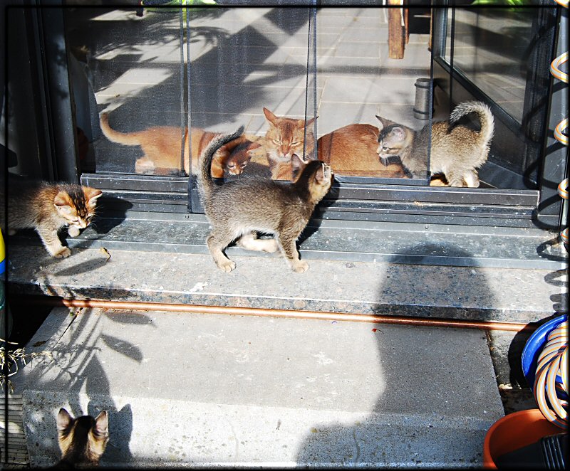 Auf dem Balkon