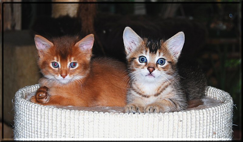 Ruby und Beryl posing