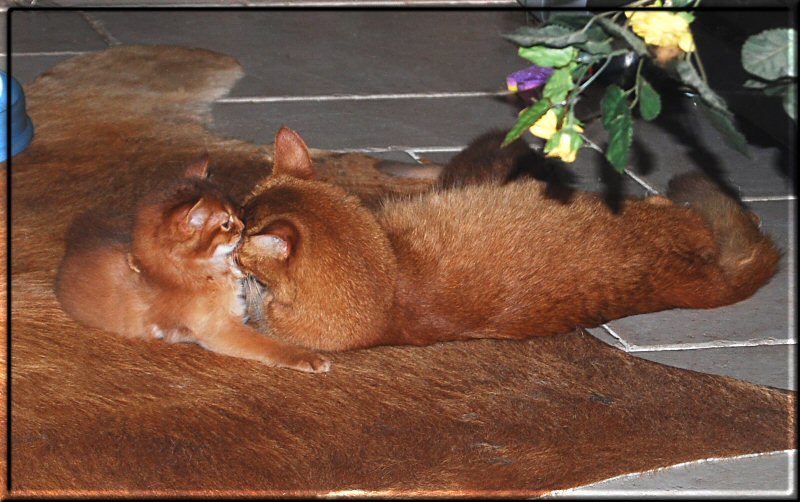 Jasper and Roma