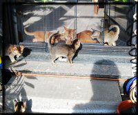 On the balcony