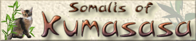 Kumasasa Banner 400 x 84 Pixel
