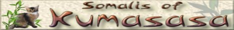 Kumasasa Banner 468 x 60 Pixel (JPG)