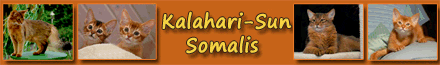 Somalis of Kalahari Sun