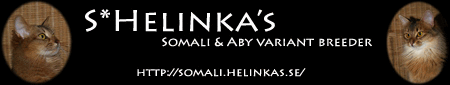 S*Helinka's Somali & Aby var