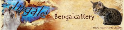 Bengals of Ingale