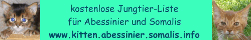 Jungtiervermittlung für Abessinier und Somali