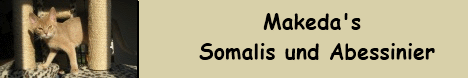 Makeda's Somalis & Abessinier