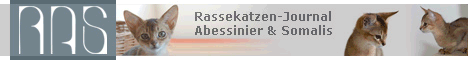 Rassekatzen-Journal Abessinier & Somalis