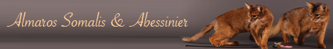 Somalis von Thalkleinich