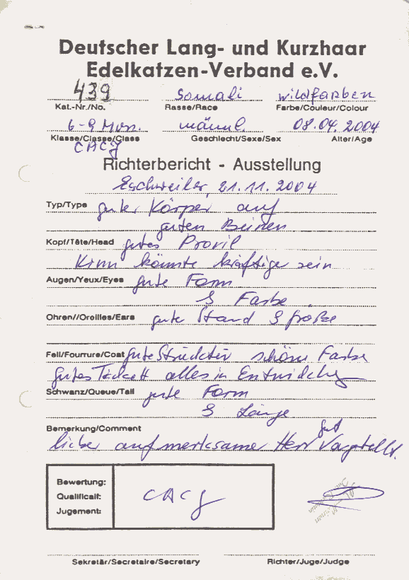 Richterbericht