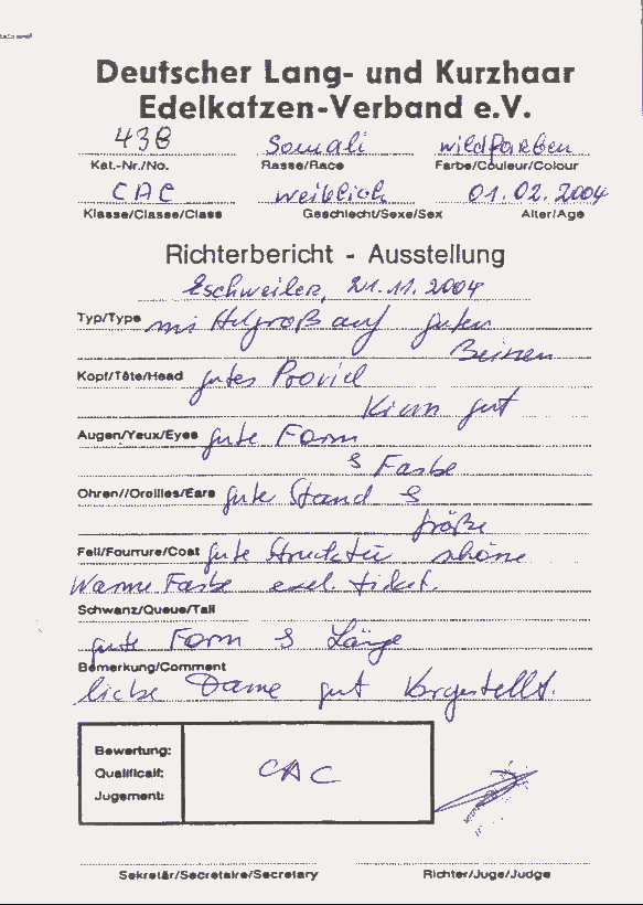 Richterbericht