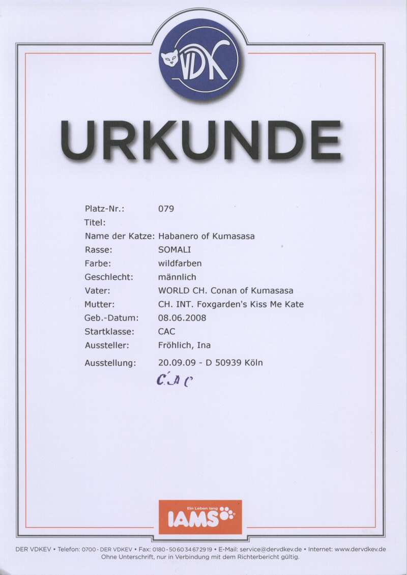 Urkunde