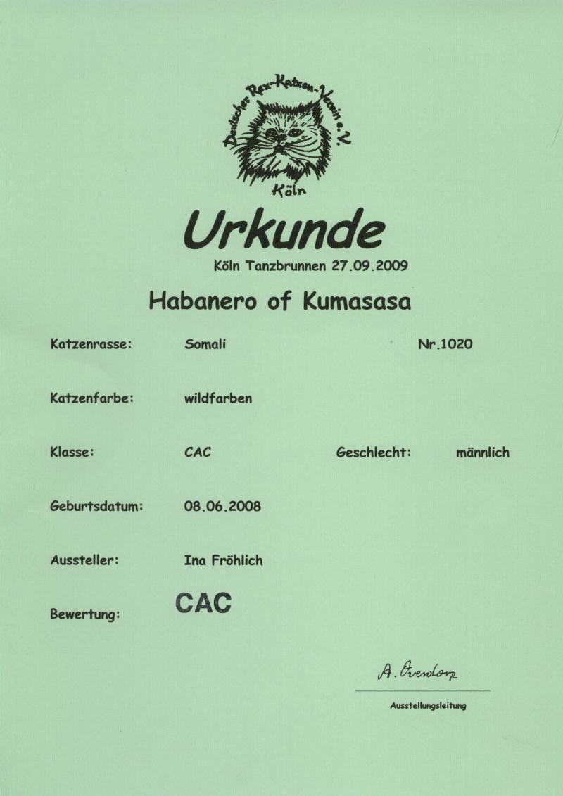 Urkunde