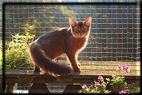 Helina auf dem Balkon