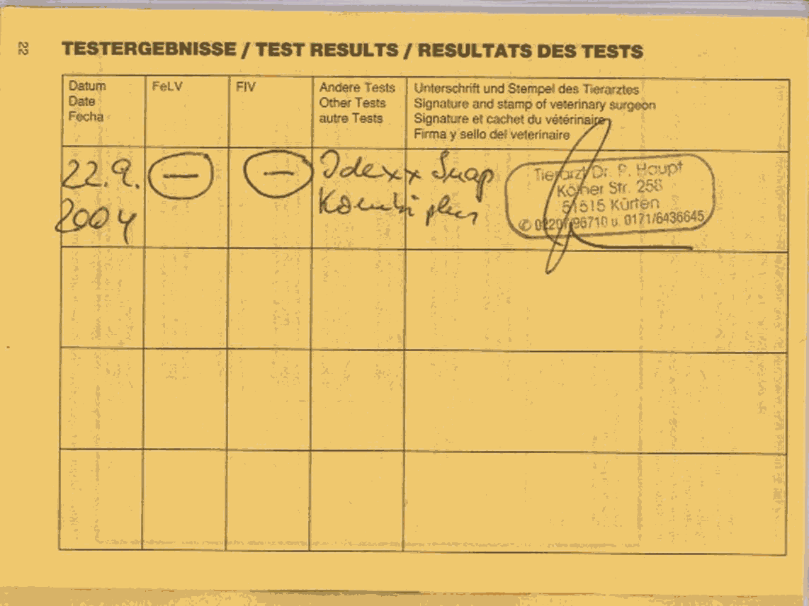 Testergebnis