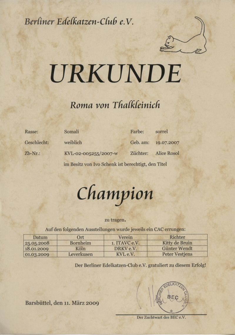 Titelurkunde zum Champion